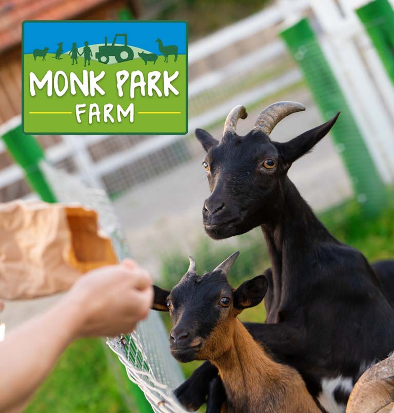 Black Bull Caravan Park Static Touring Site In North Yorkshire Black Bull Caravan Park Static Touring Site In North Yorkshire